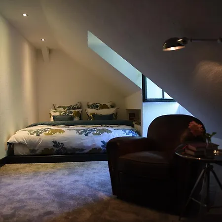 Mlyn Danemark Hotel *