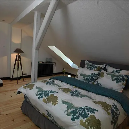 Mlyn Danemark Hotel *