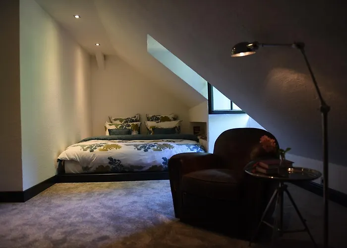 Mlyn Danemark Hotel *