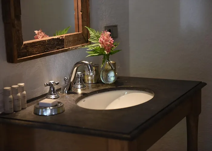 Mlyn Danemark * Кутна-Гора