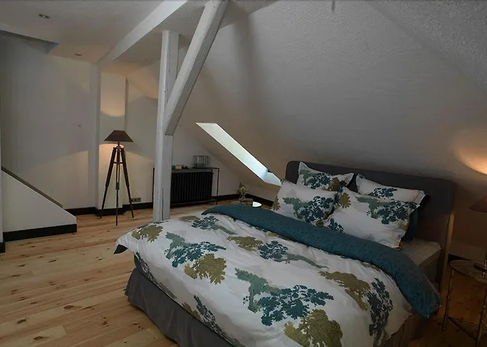 Mlyn Danemark Отель *