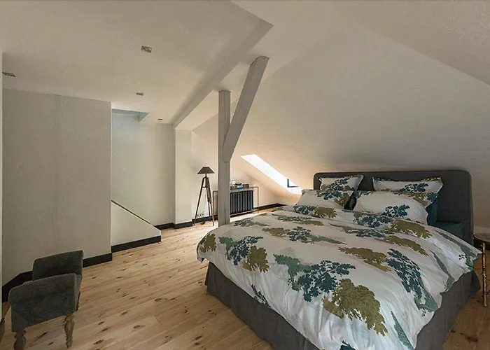 Mlyn Danemark Отель *